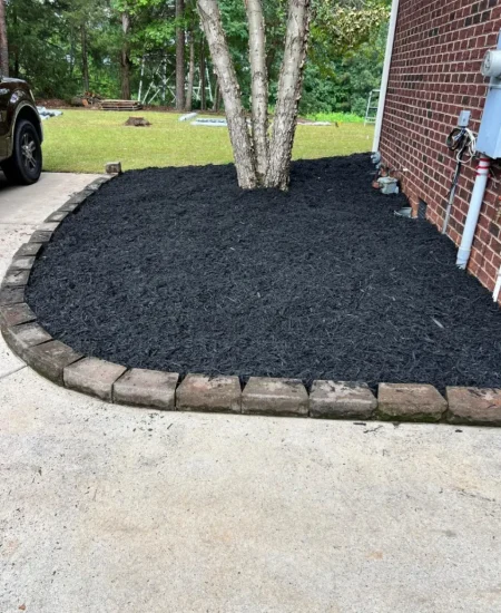 imgi_10_galleryClientesbf8e2135-d677-47d6-8ff7-7ba5fd97bad6fotosCliente0 (4)-7327