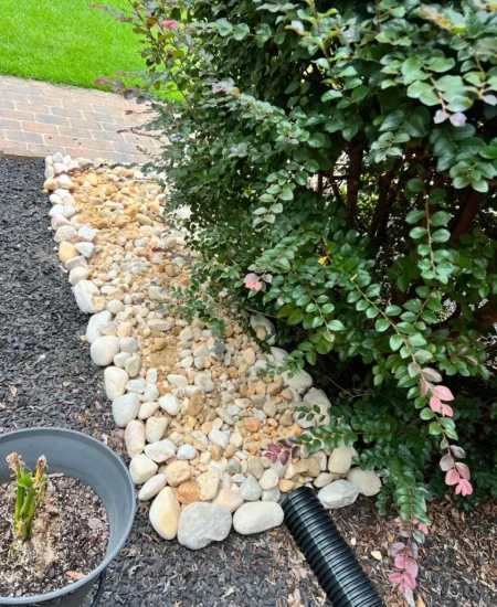 imgi_12_galleryClientesbf8e2135-d677-47d6-8ff7-7ba5fd97bad6fotosCliente0 (2)-5745