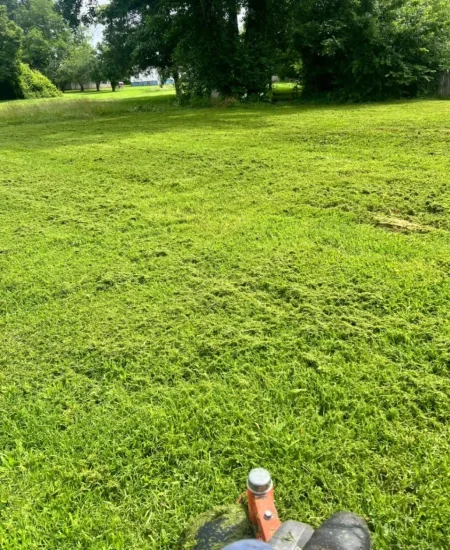 imgi_14_galleryClientesbf8e2135-d677-47d6-8ff7-7ba5fd97bad6fotosCliente1 (7)-9855