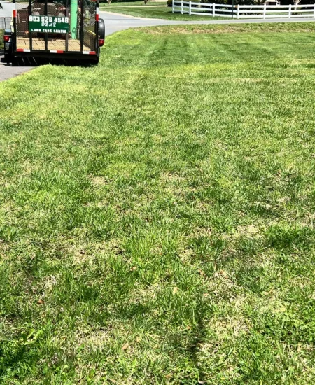 imgi_33_galleryClientesbf8e2135-d677-47d6-8ff7-7ba5fd97bad6fotosClienteafter-5436