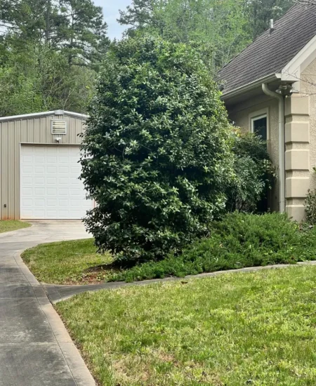 imgi_35_galleryClientesbf8e2135-d677-47d6-8ff7-7ba5fd97bad6fotosClienteAfter-3358