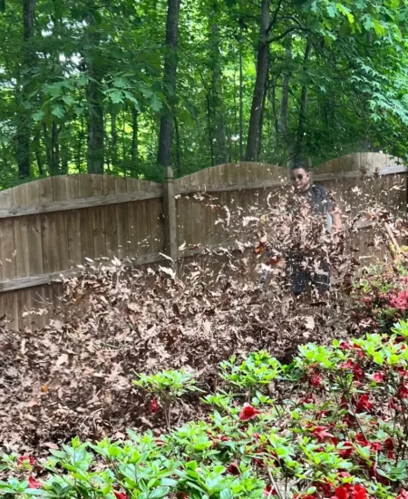 imgi_40_galleryClientesbf8e2135-d677-47d6-8ff7-7ba5fd97bad6fotosClienteImagen de WhatsApp 2025-04-23 a las 18-2065